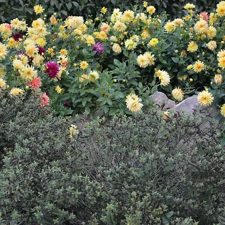 La Grange De La Gandonnerie Ferienhaus