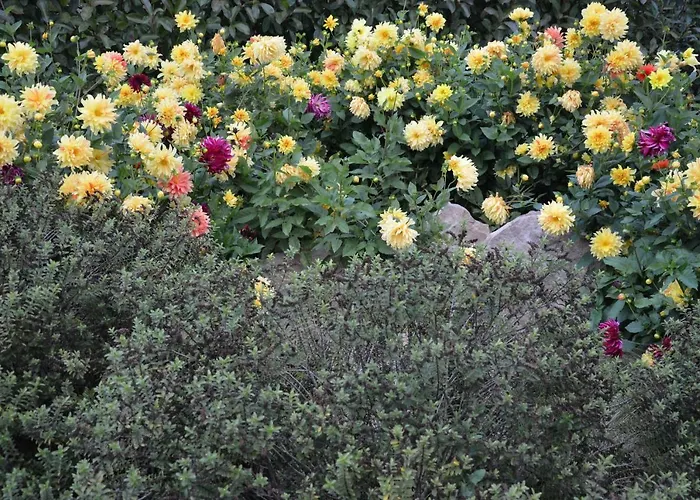 La Grange De La Gandonnerie Dom wakacyjny